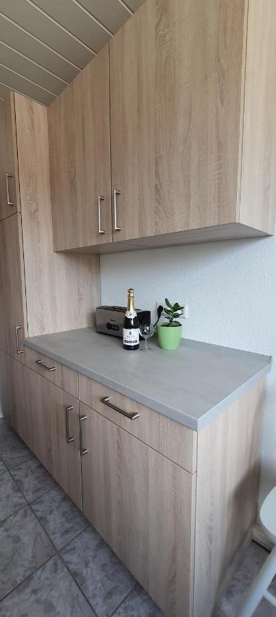 Ferienwohnung Schuur - Harz Hasselfelde Esterno foto