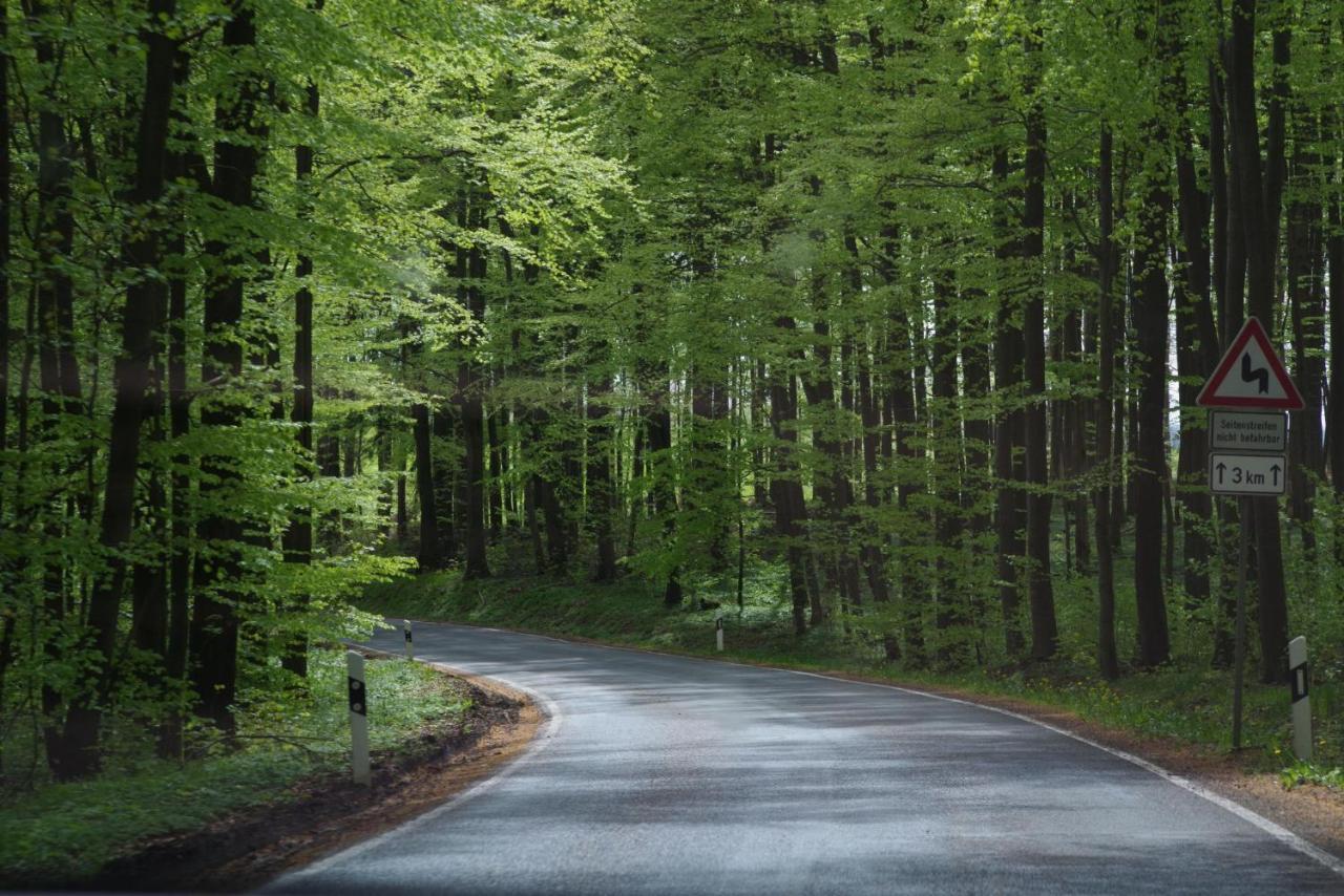 Ferienwohnung Schuur - Harz Hasselfelde Esterno foto